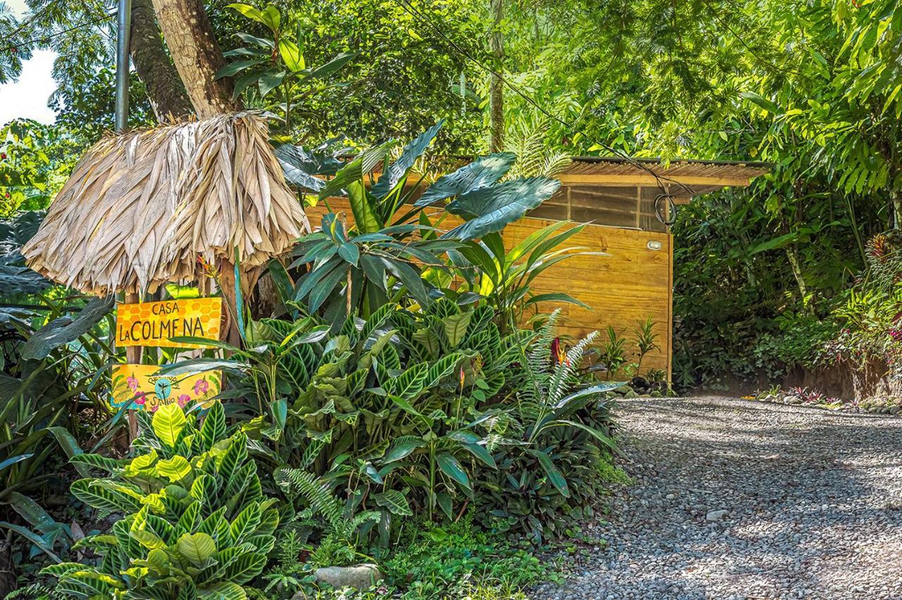 Bee Happy Studio Cahuita Exteriör bild