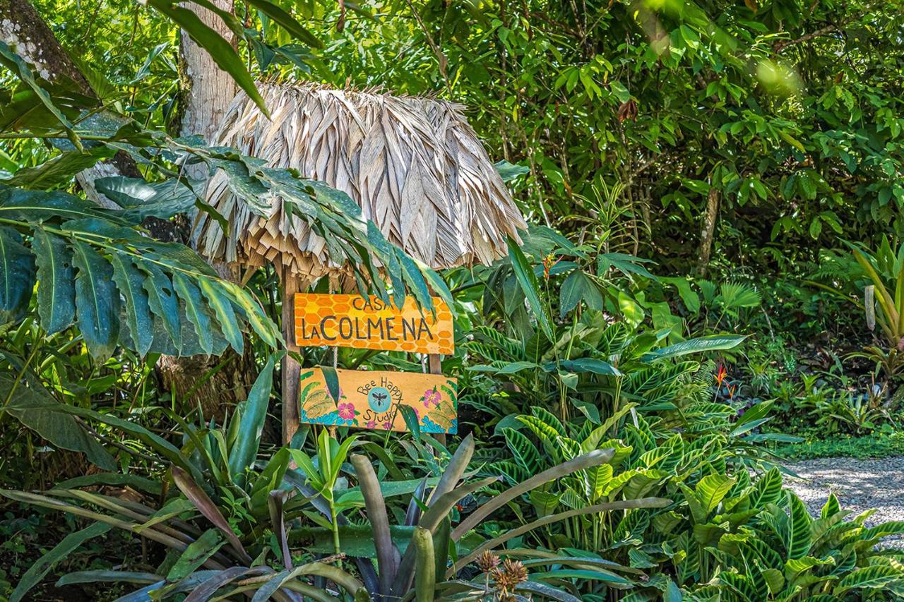 Bee Happy Studio Cahuita Exteriör bild